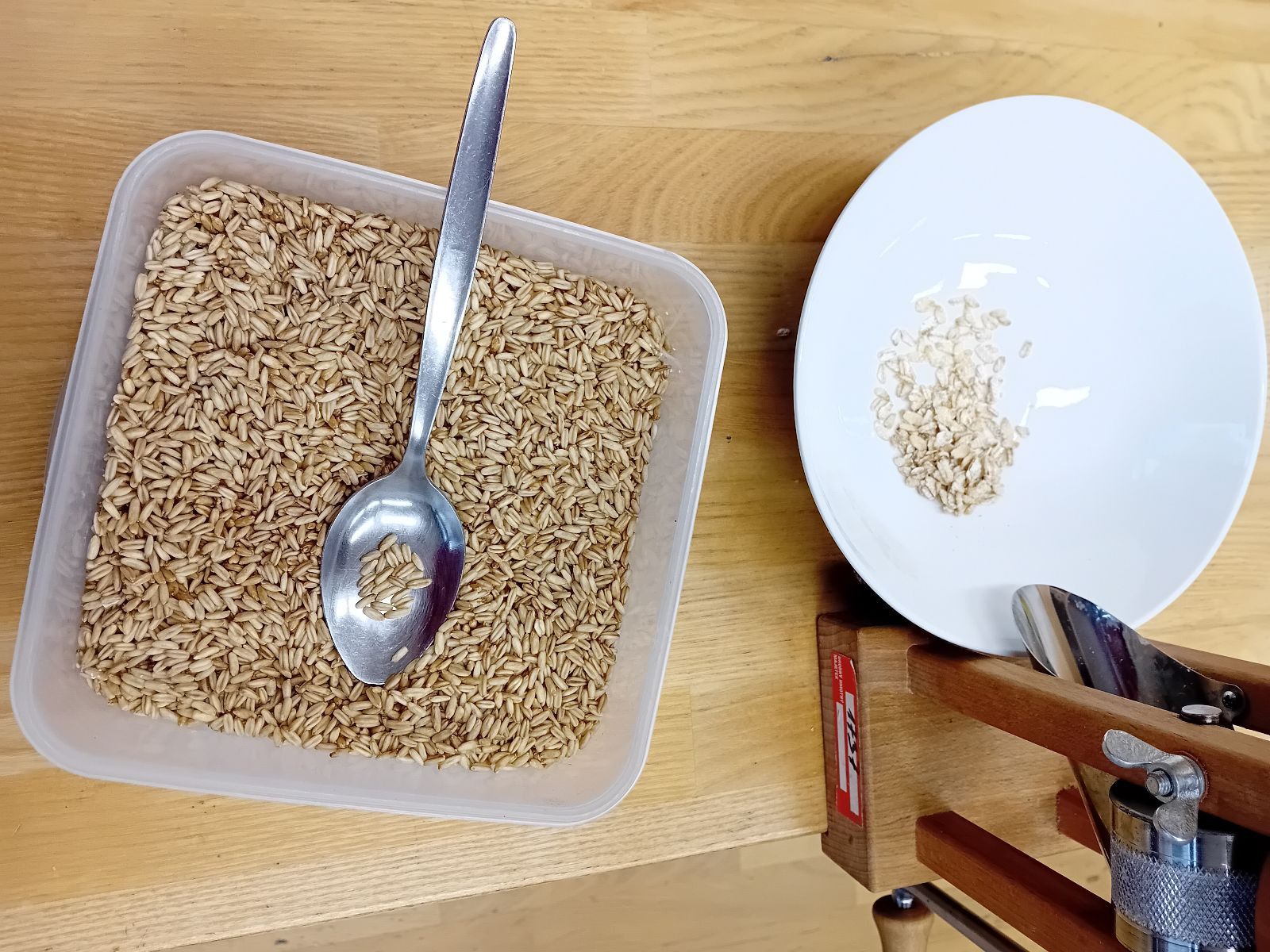 fotografie - 2025-12-12T092020.745