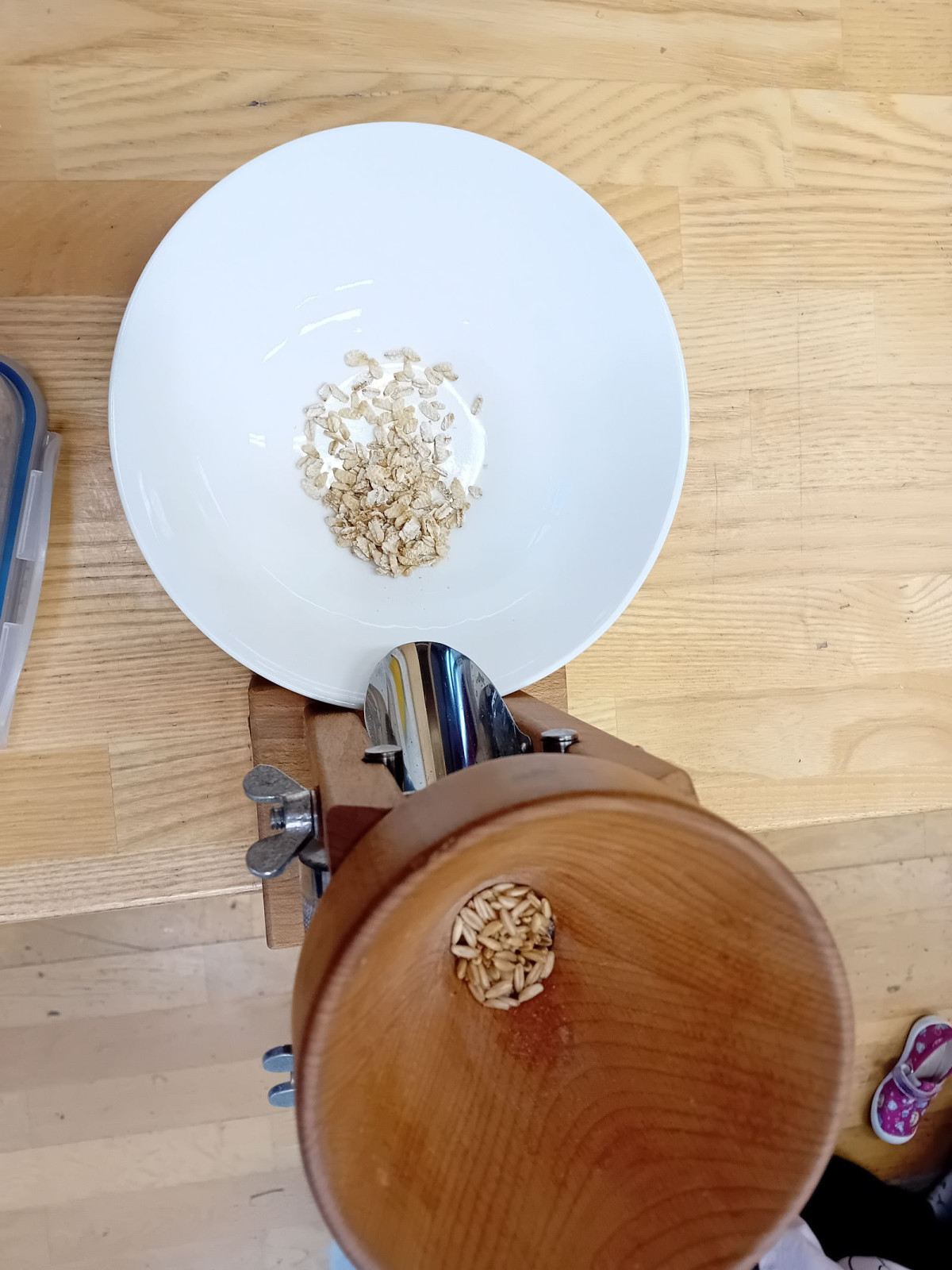 fotografie - 2025-12-12T092020.849