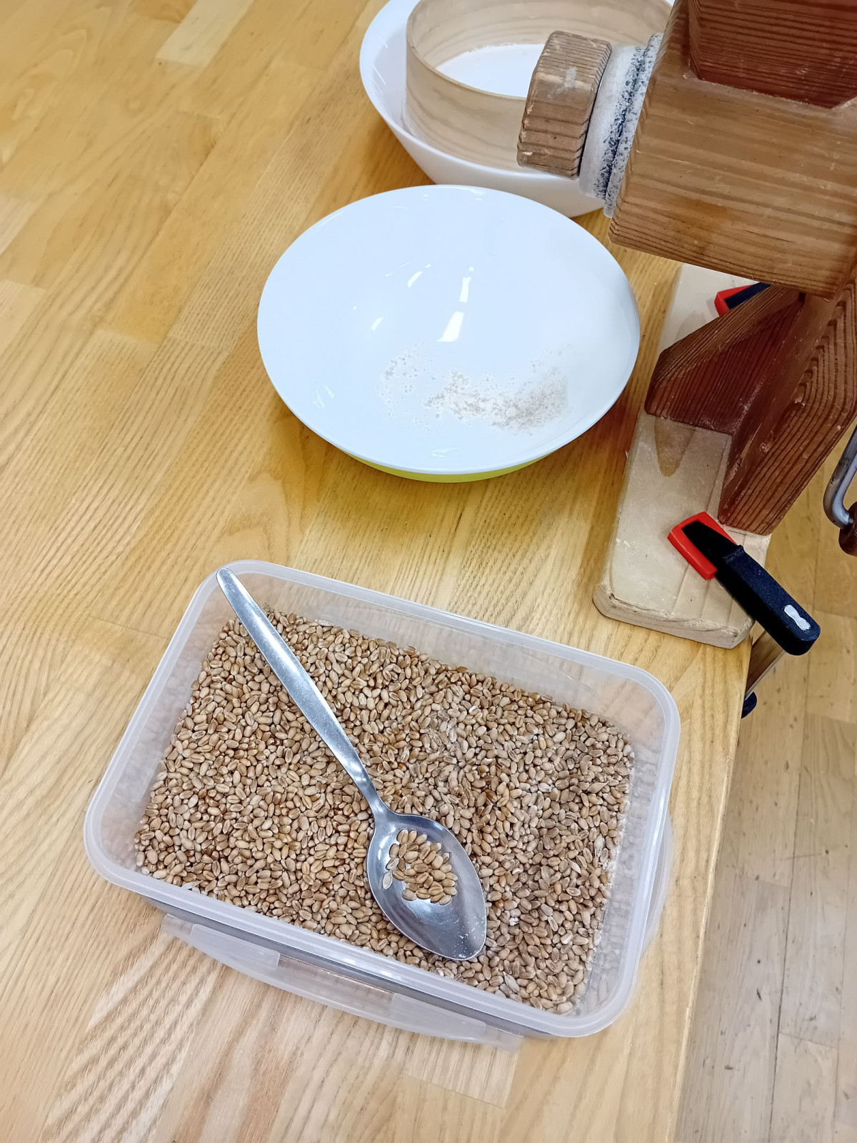 fotografie - 2025-12-12T092028.697