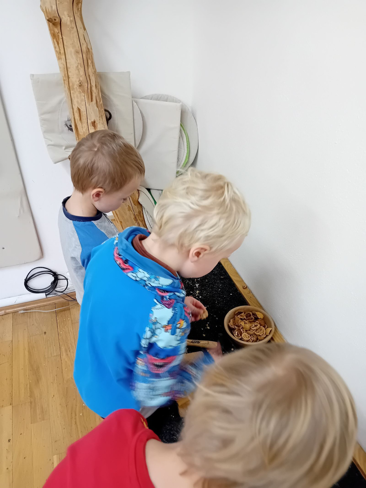 fotografie - 2025-12-12T092108.867