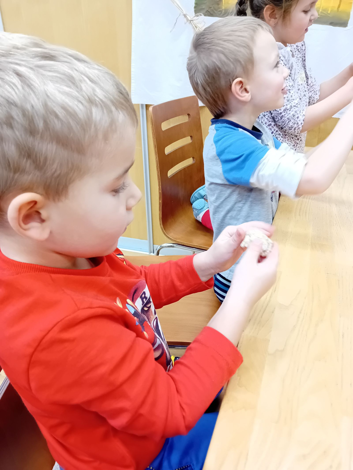 fotografie - 2025-12-12T092243.324