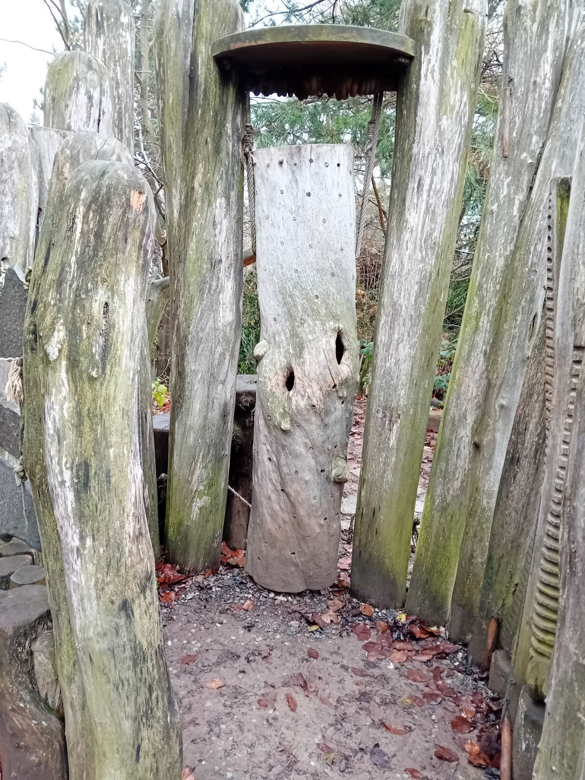 fotografie - 2025-12-12T092252.980