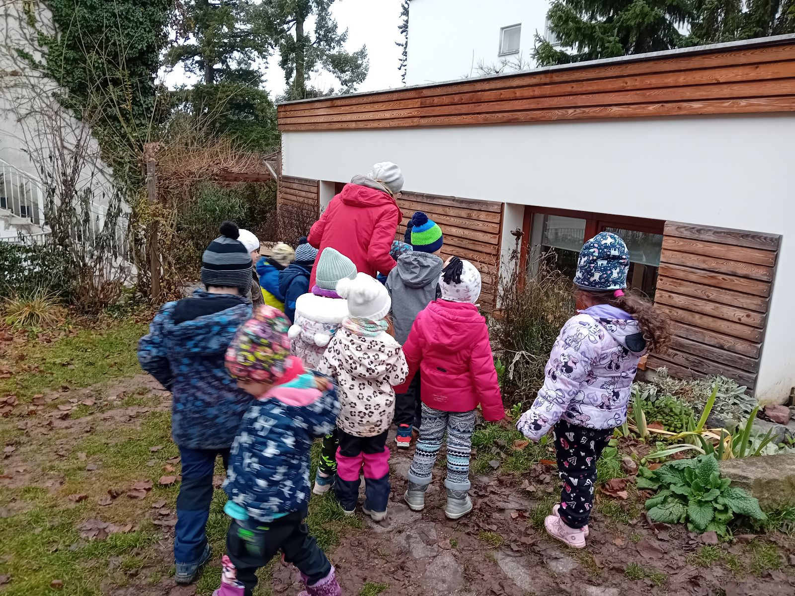 fotografie - 2025-12-12T092253.254