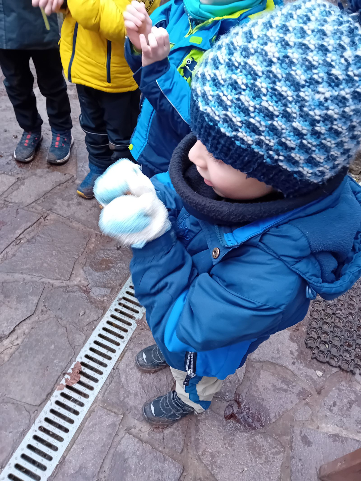 fotografie - 2025-12-12T092304.136