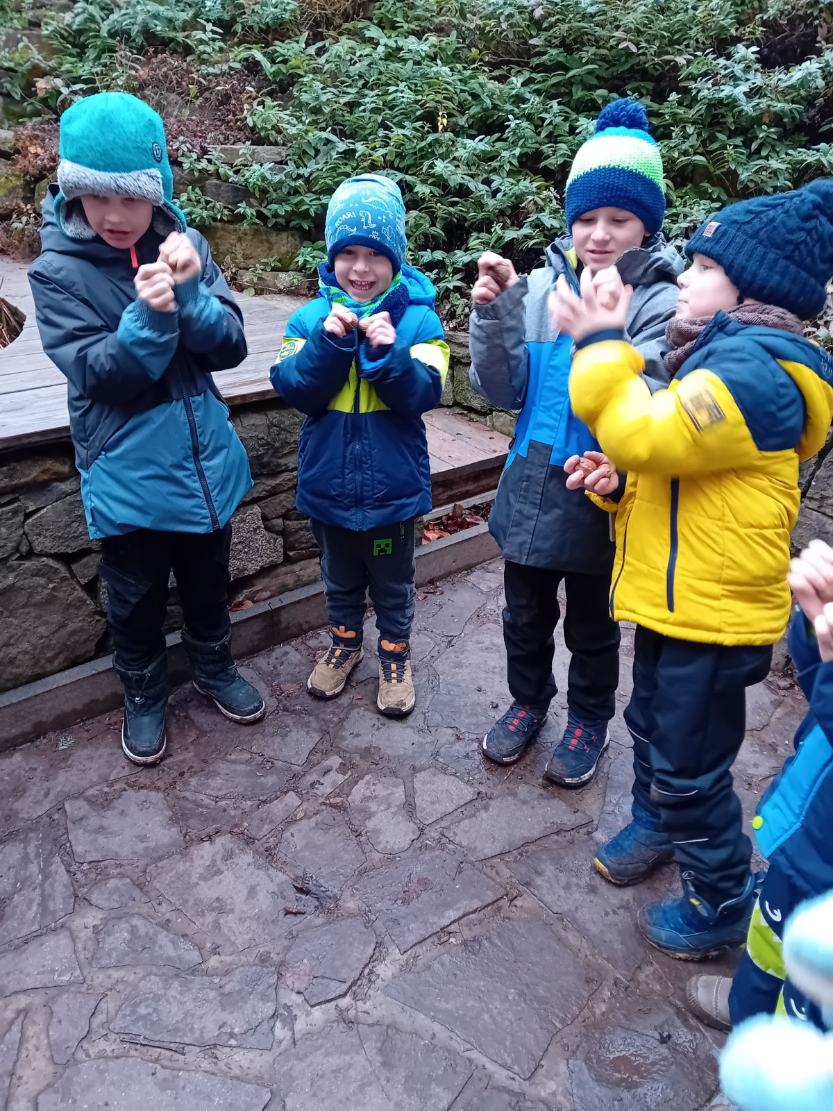 fotografie - 2025-12-12T092305.785