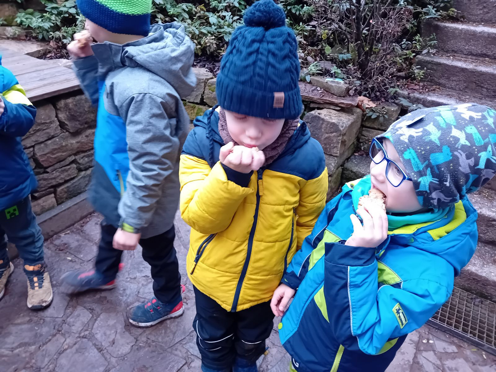 fotografie - 2025-12-12T092310.502