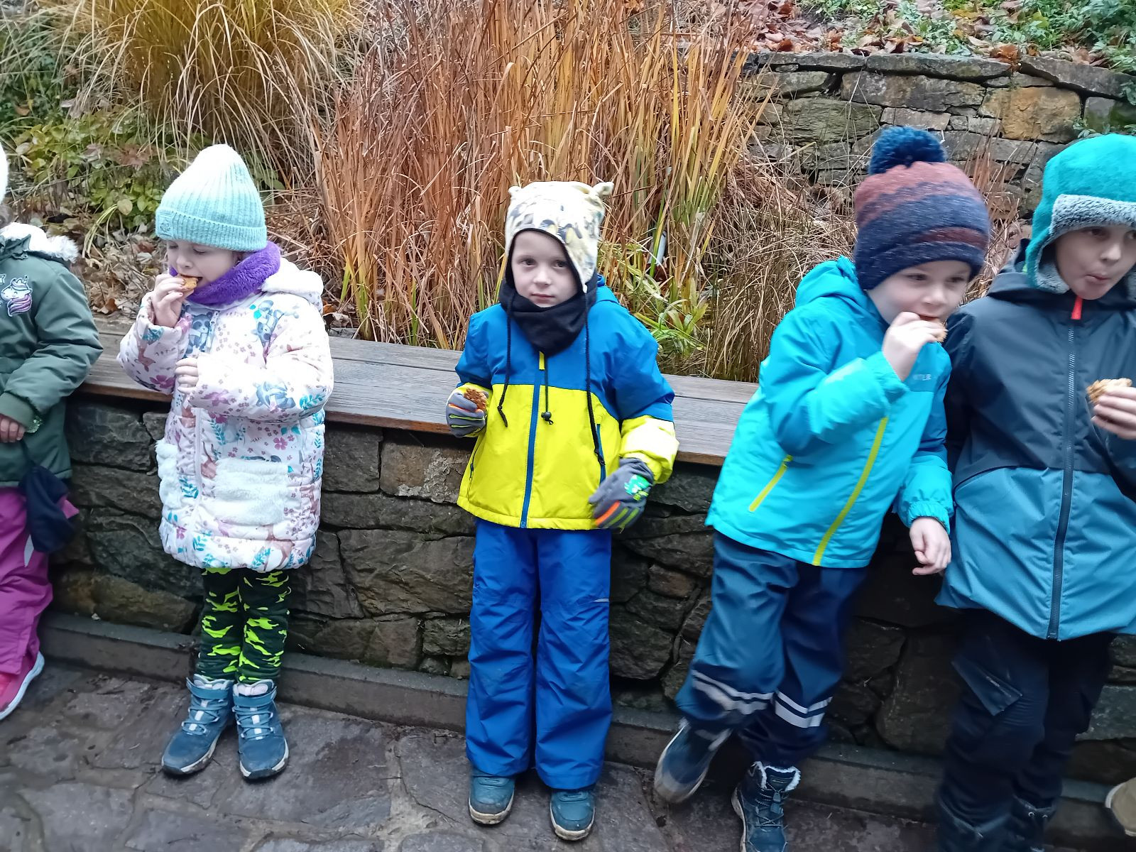 fotografie - 2025-12-12T092316.303