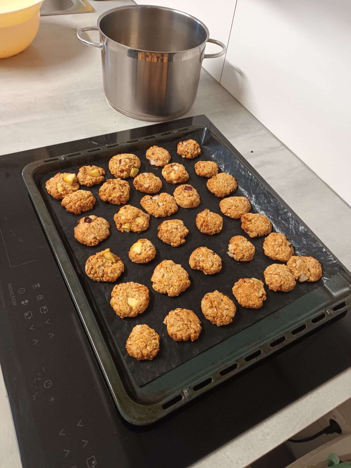 fotografie - 2025-12-12T092326.197