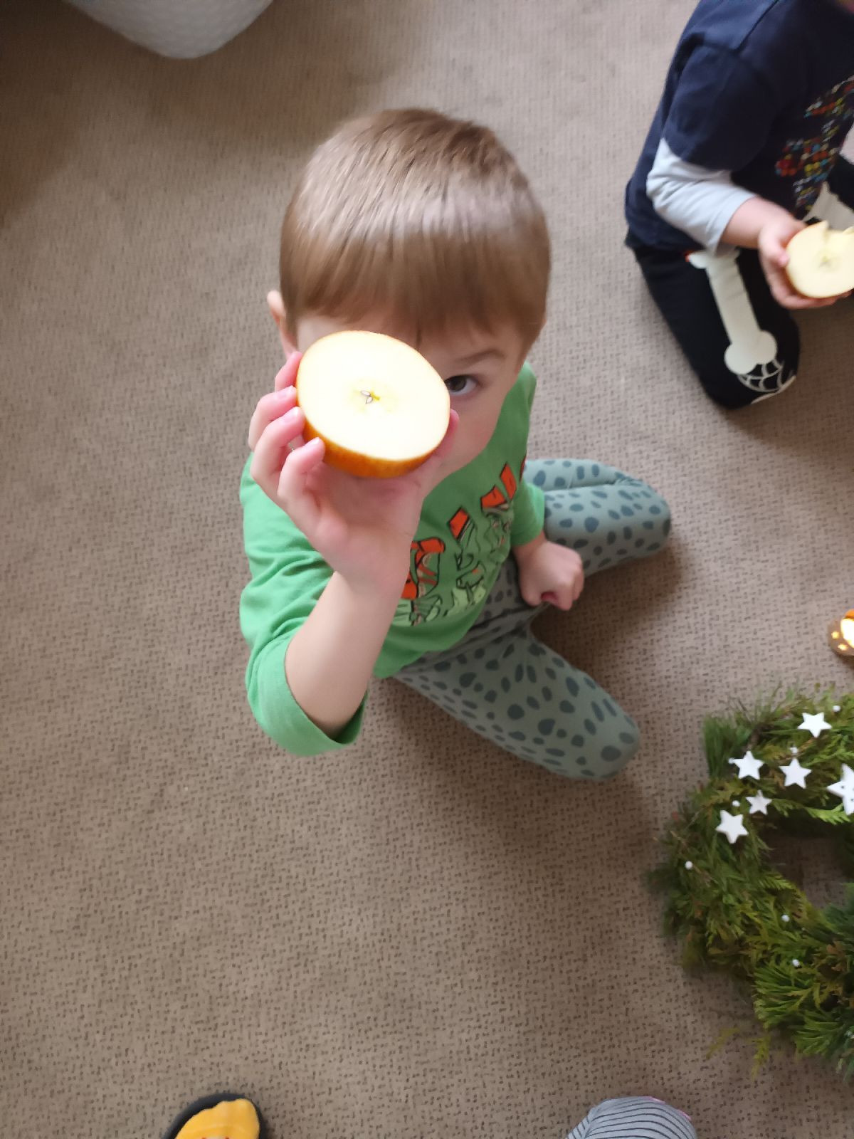 fotografie - 2026-01-05T140049.659