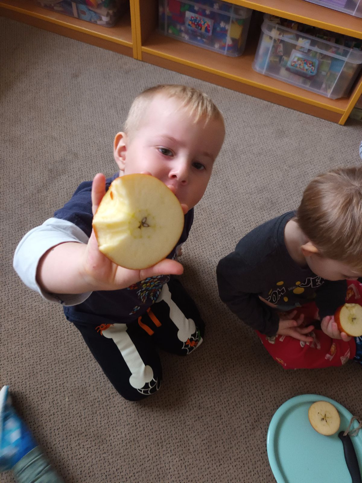 fotografie - 2026-01-05T140050.806