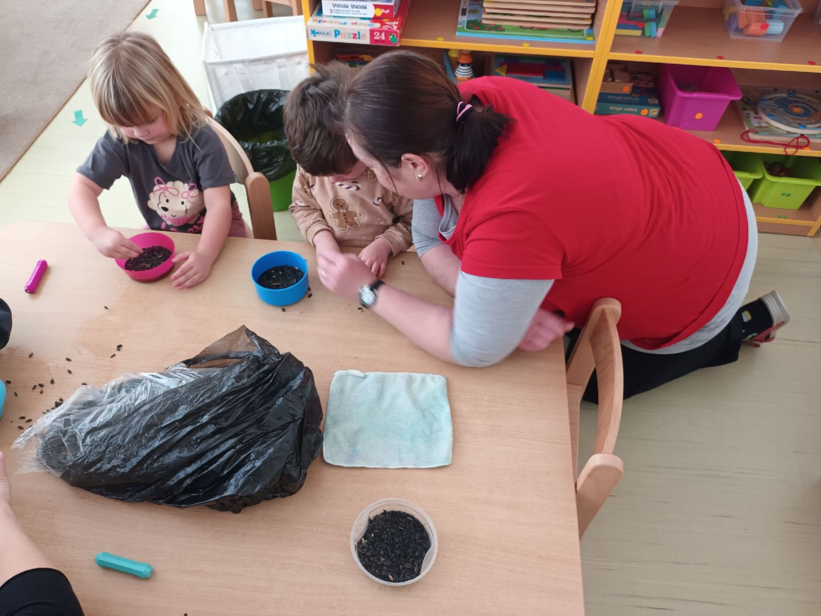 fotografie - 2026-01-16T072724.277