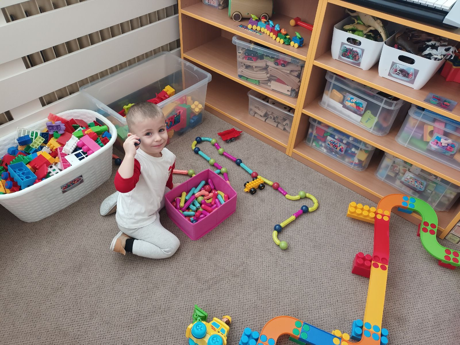 fotografie - 2026-01-16T072726.007