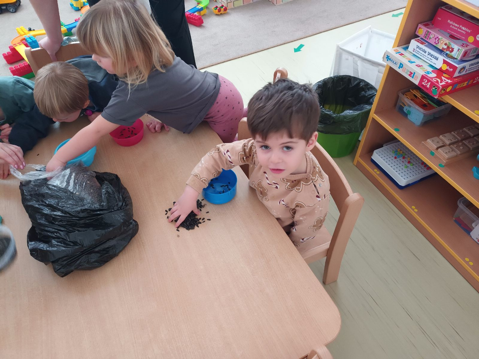 fotografie - 2026-01-16T072738.404