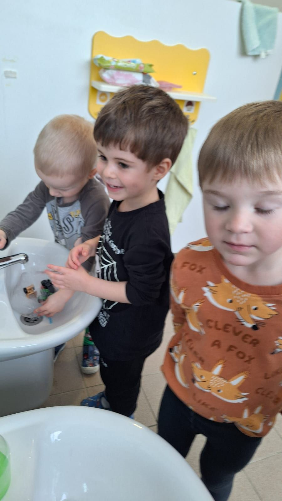 fotografie - 2026-01-16T072740.188