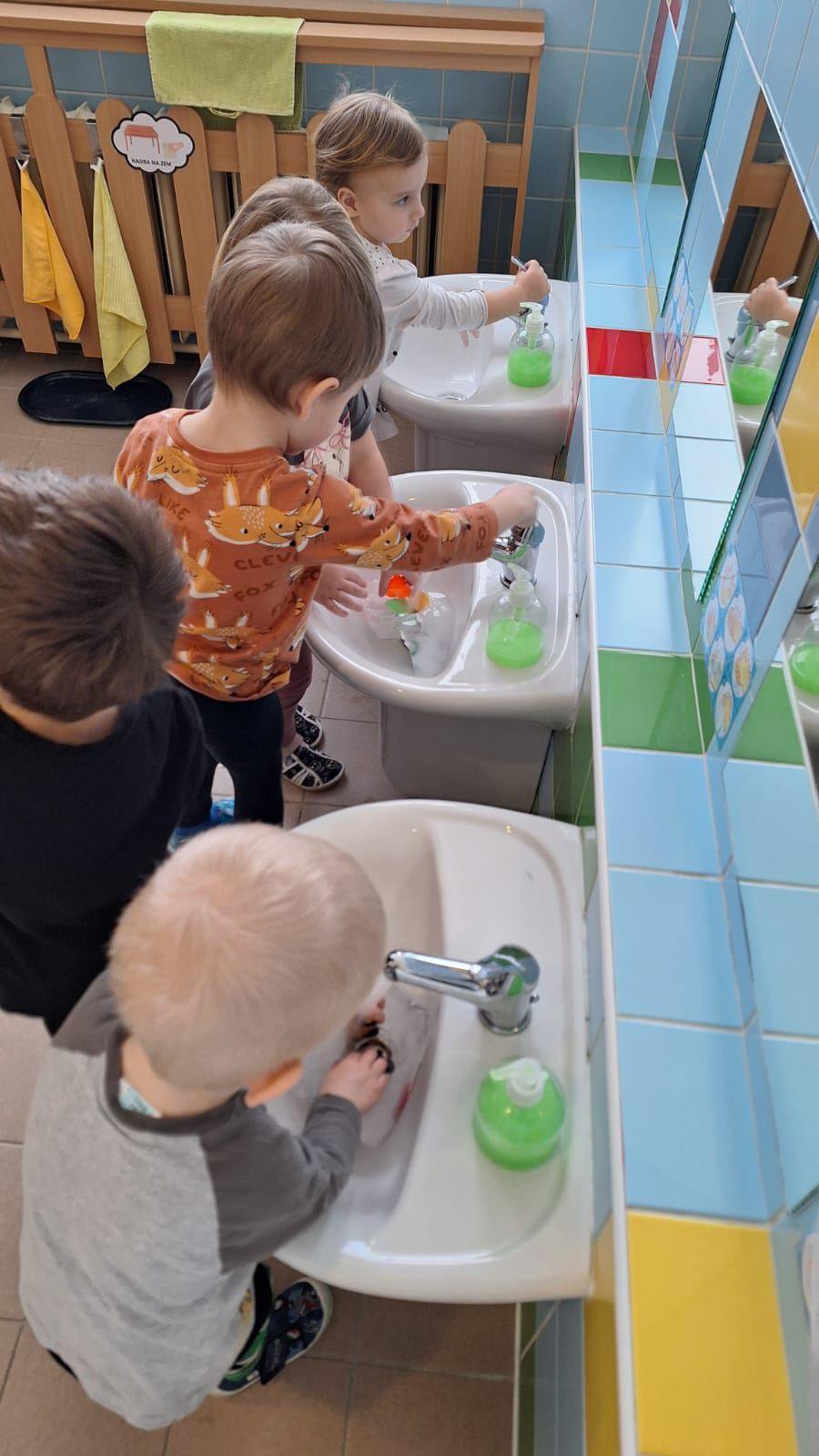 fotografie - 2026-01-16T072742.552