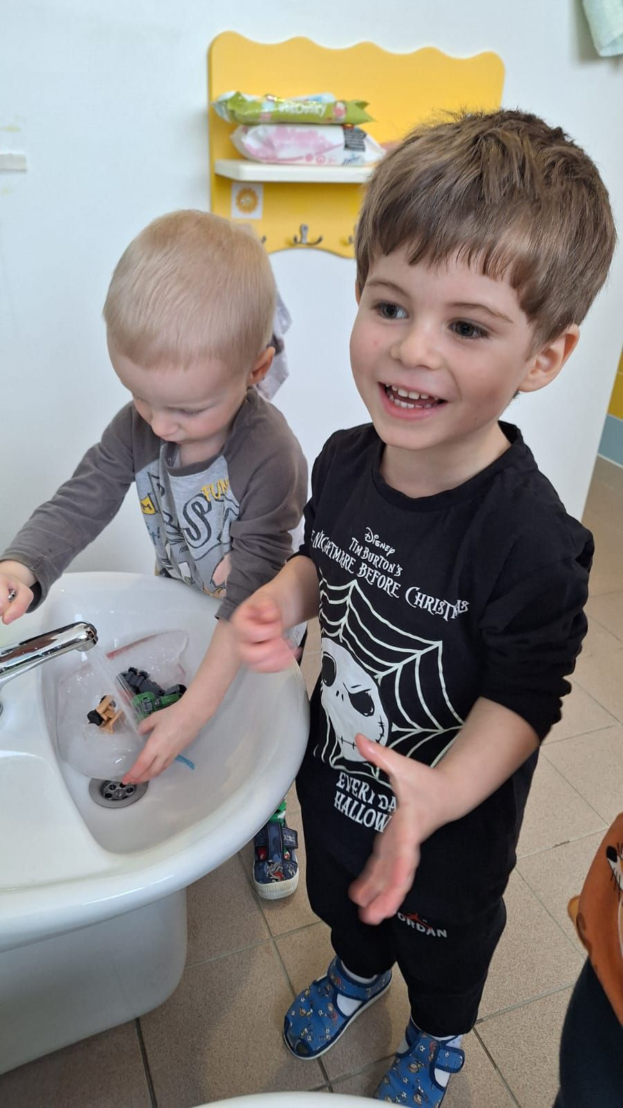 fotografie - 2026-01-16T072752.534