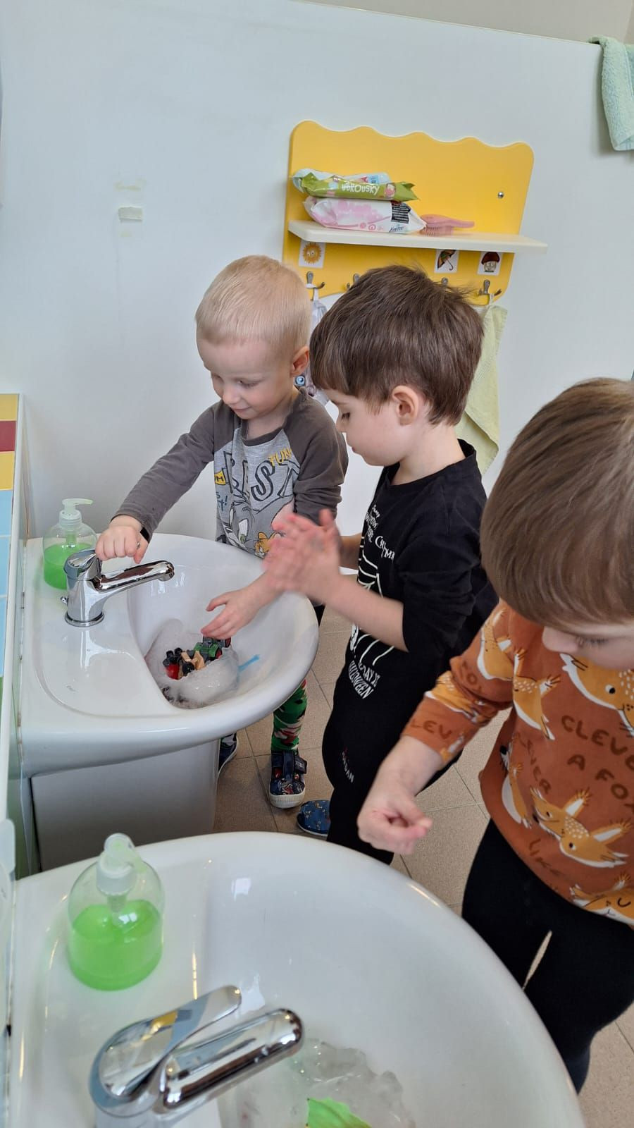 fotografie - 2026-01-16T072754.529