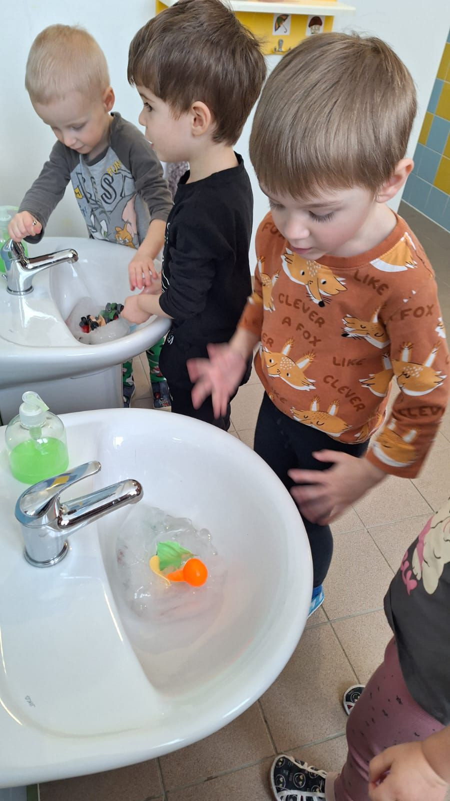 fotografie - 2026-01-16T072756.530