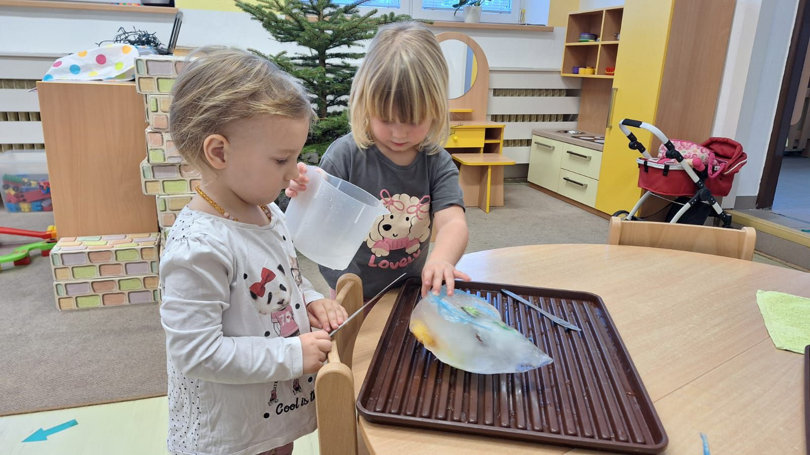 fotografie - 2026-01-16T072801.968