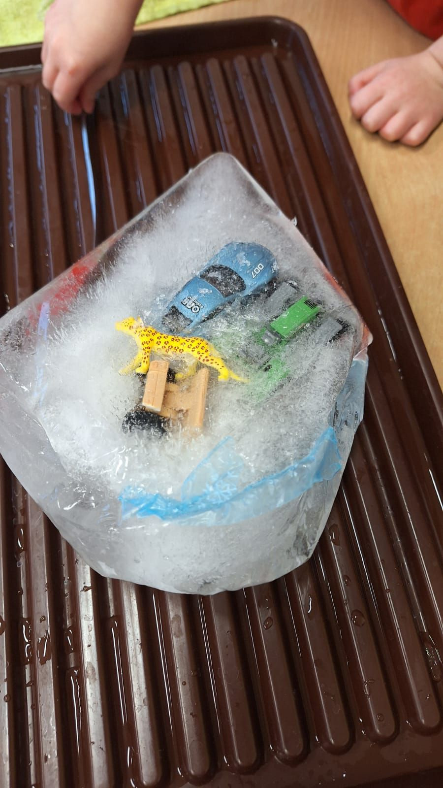 fotografie - 2026-01-16T072805.573