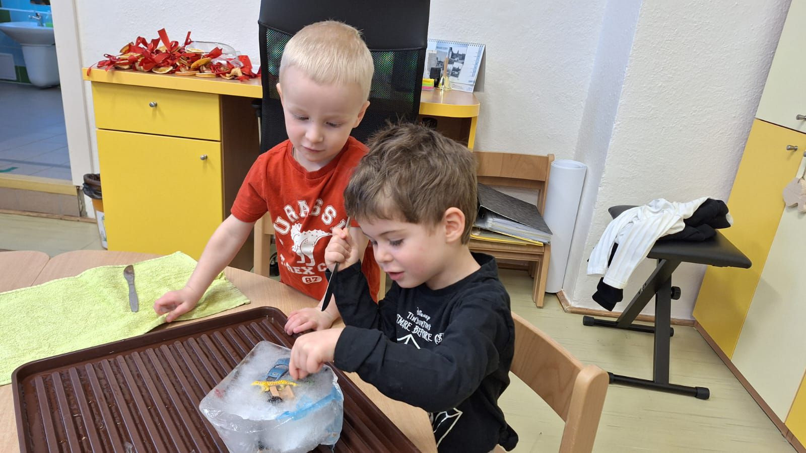 fotografie - 2026-01-16T072806.912