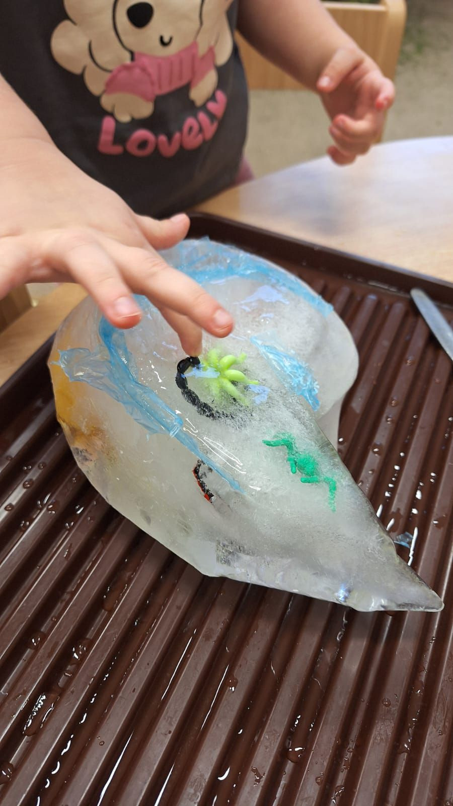 fotografie - 2026-01-16T072809.107