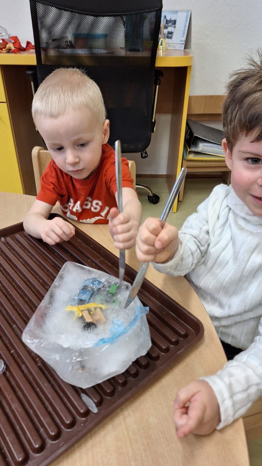 fotografie - 2026-01-16T072810.625