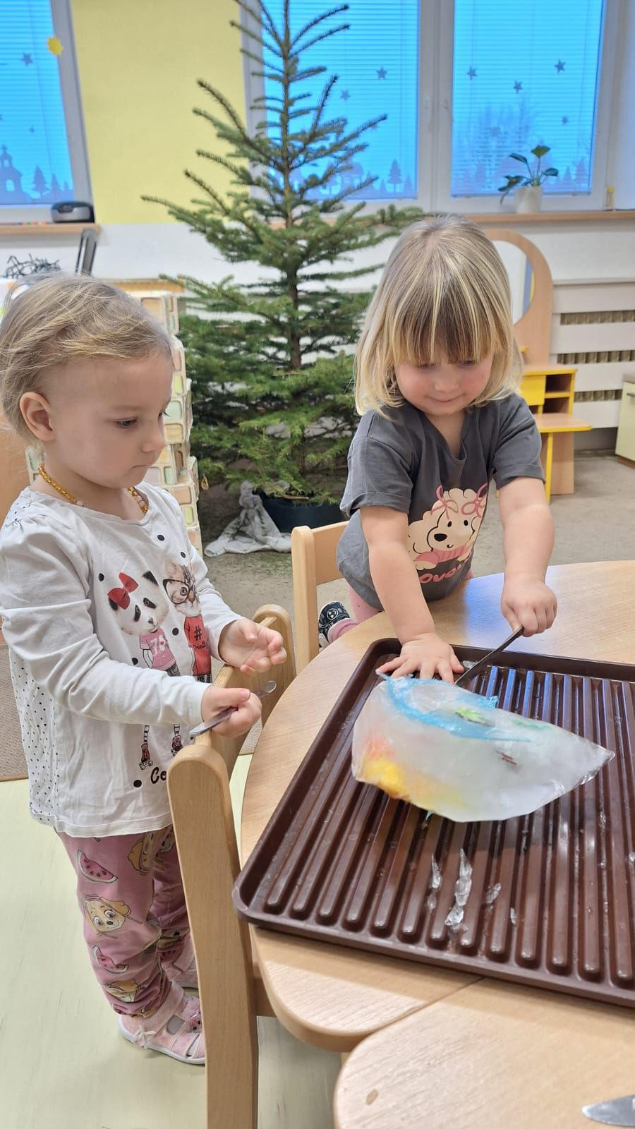 fotografie - 2026-01-16T072820.116