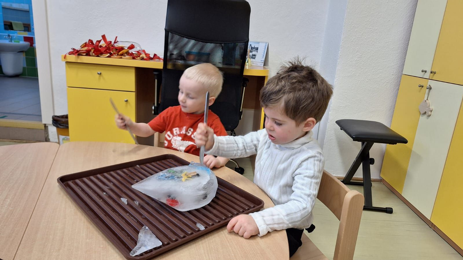 fotografie - 2026-01-16T072825.118