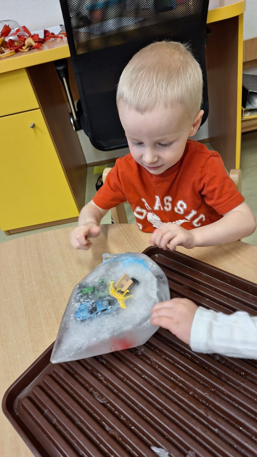 fotografie - 2026-01-16T072826.031