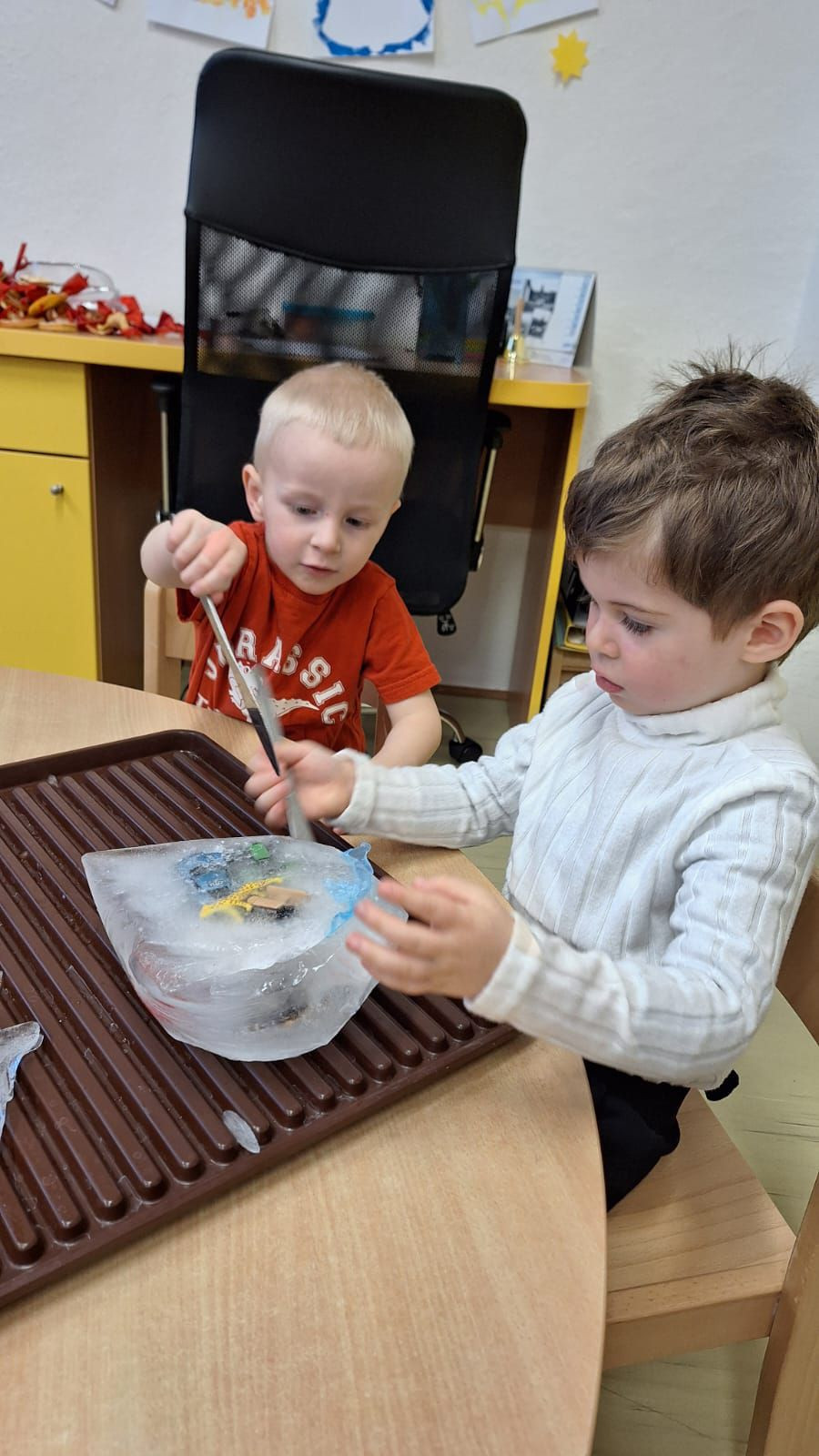 fotografie - 2026-01-16T072827.596