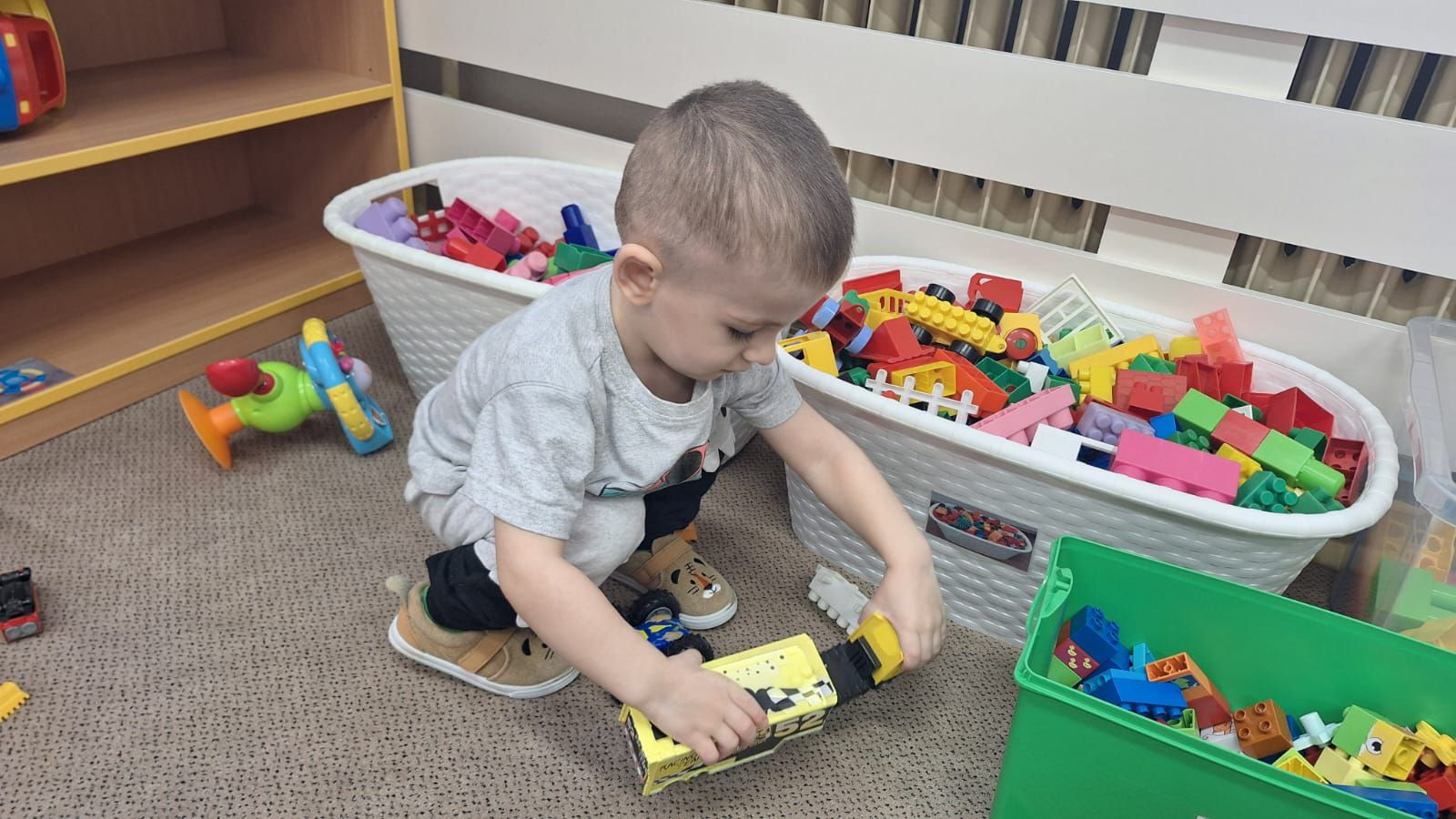 fotografie - 2026-01-16T072830.791