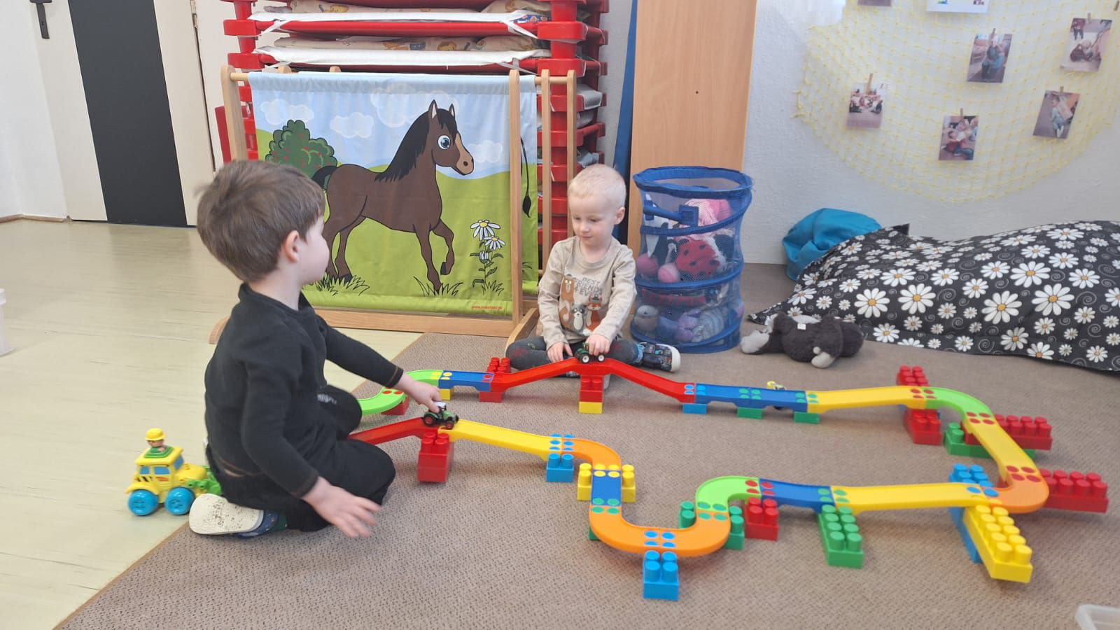 fotografie - 2026-01-16T072833.879