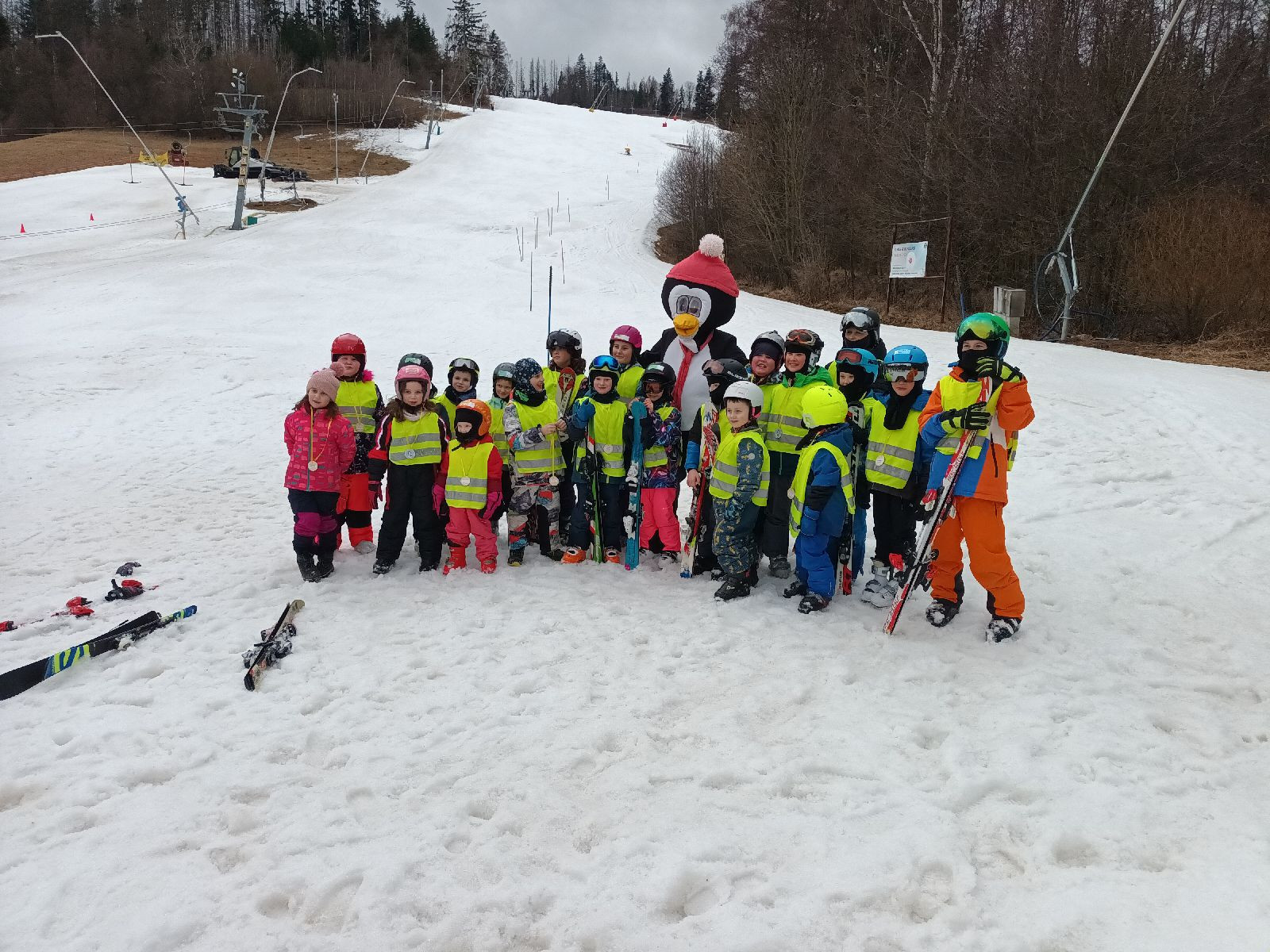 fotografie - 2026-02-19T080003.956