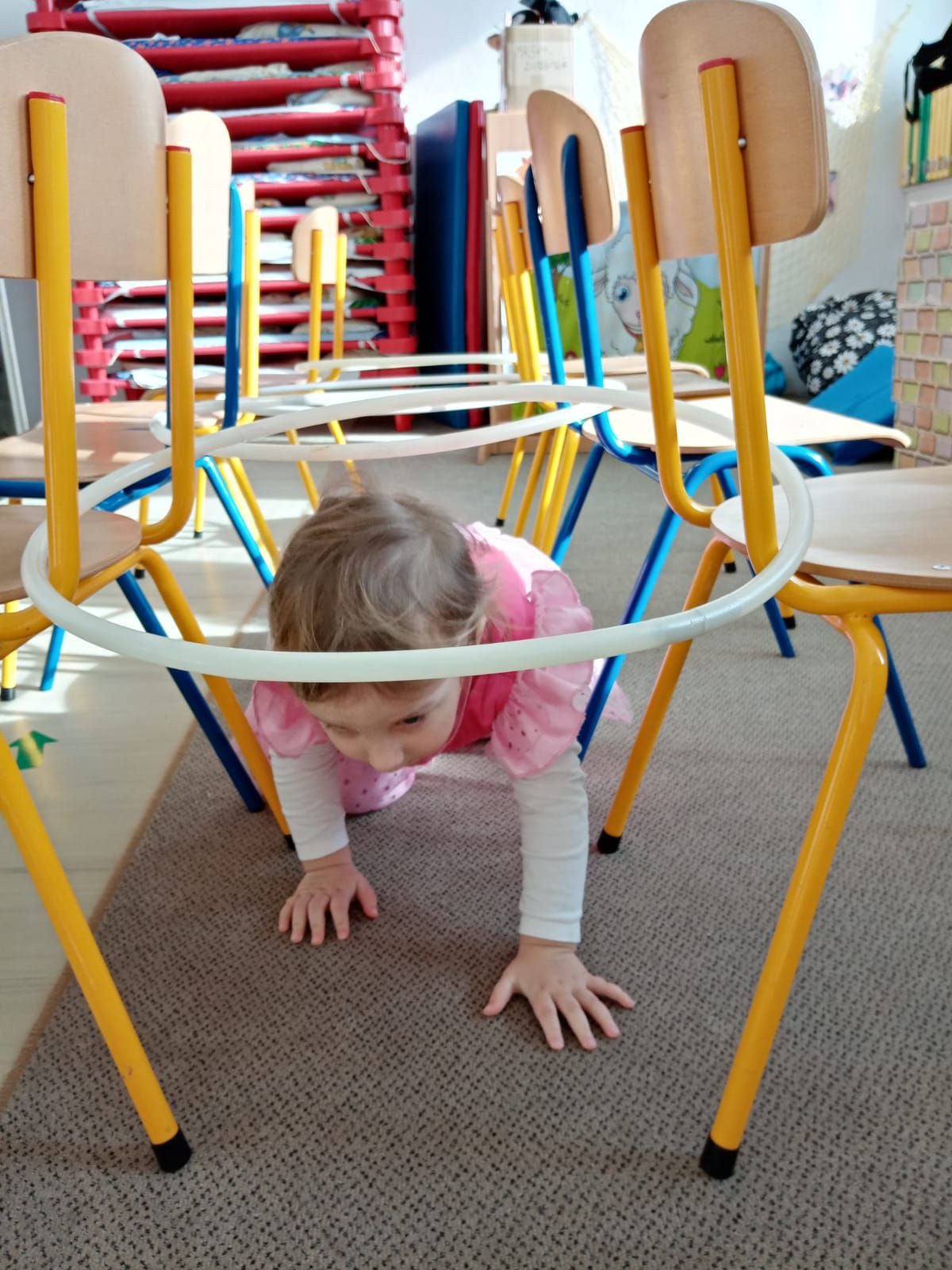 fotografie - 2026-03-04T123050.245