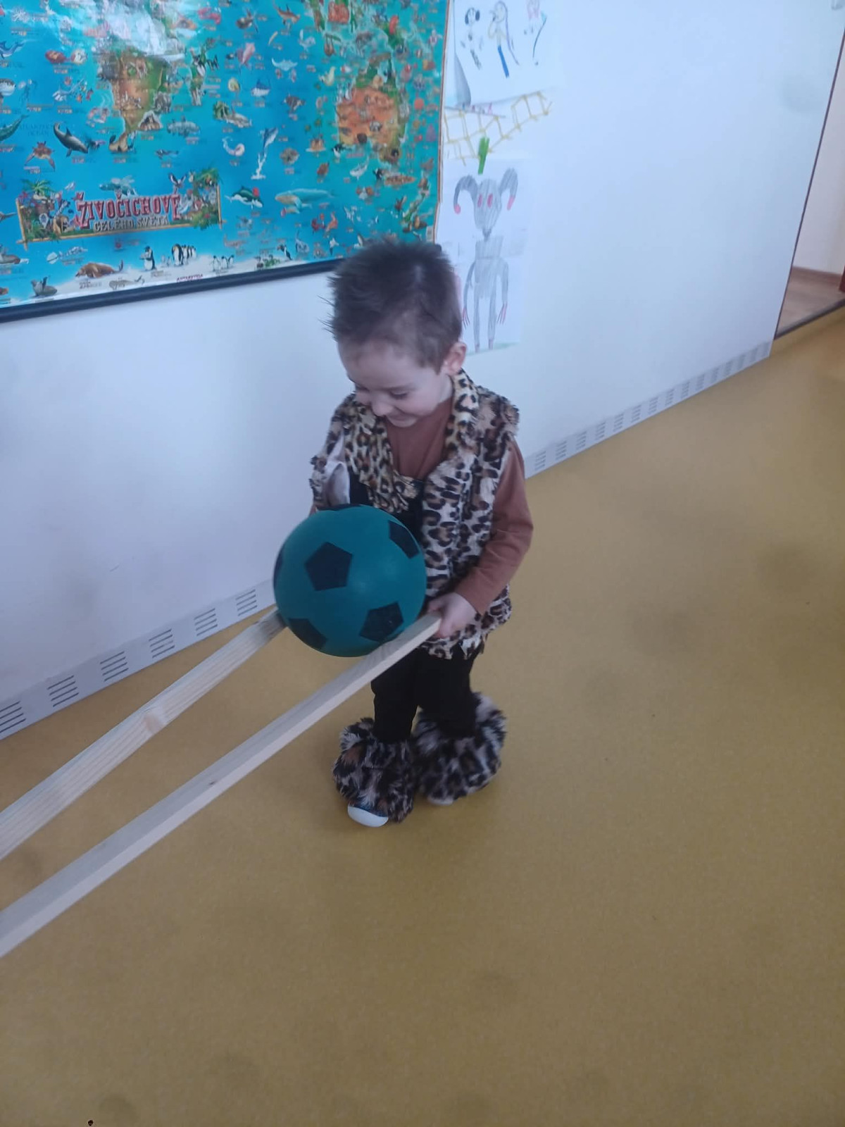 fotografie - 2026-03-04T123101.556