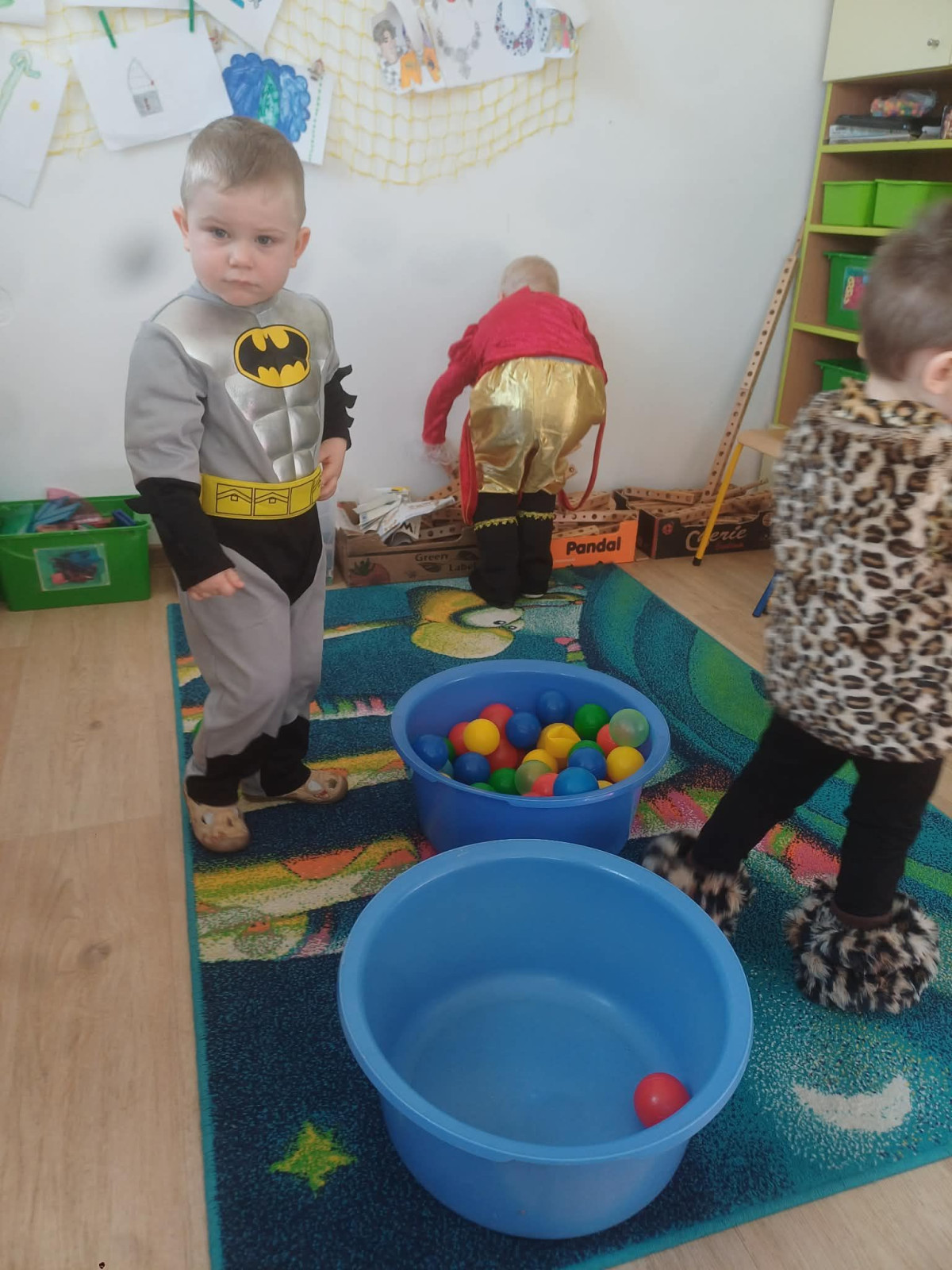 fotografie - 2026-03-04T123116.553