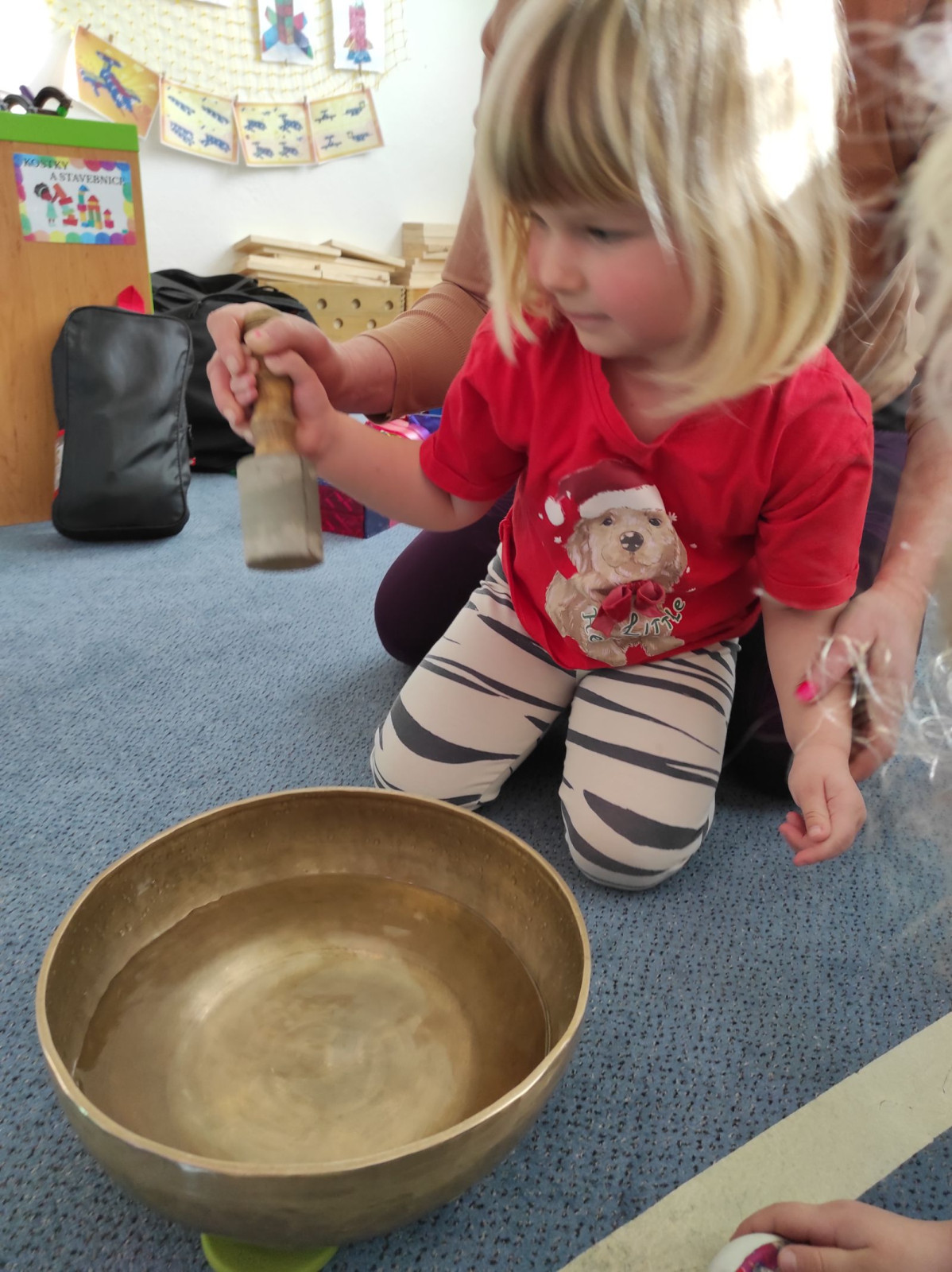 fotografie - 2026-03-04T122425.797