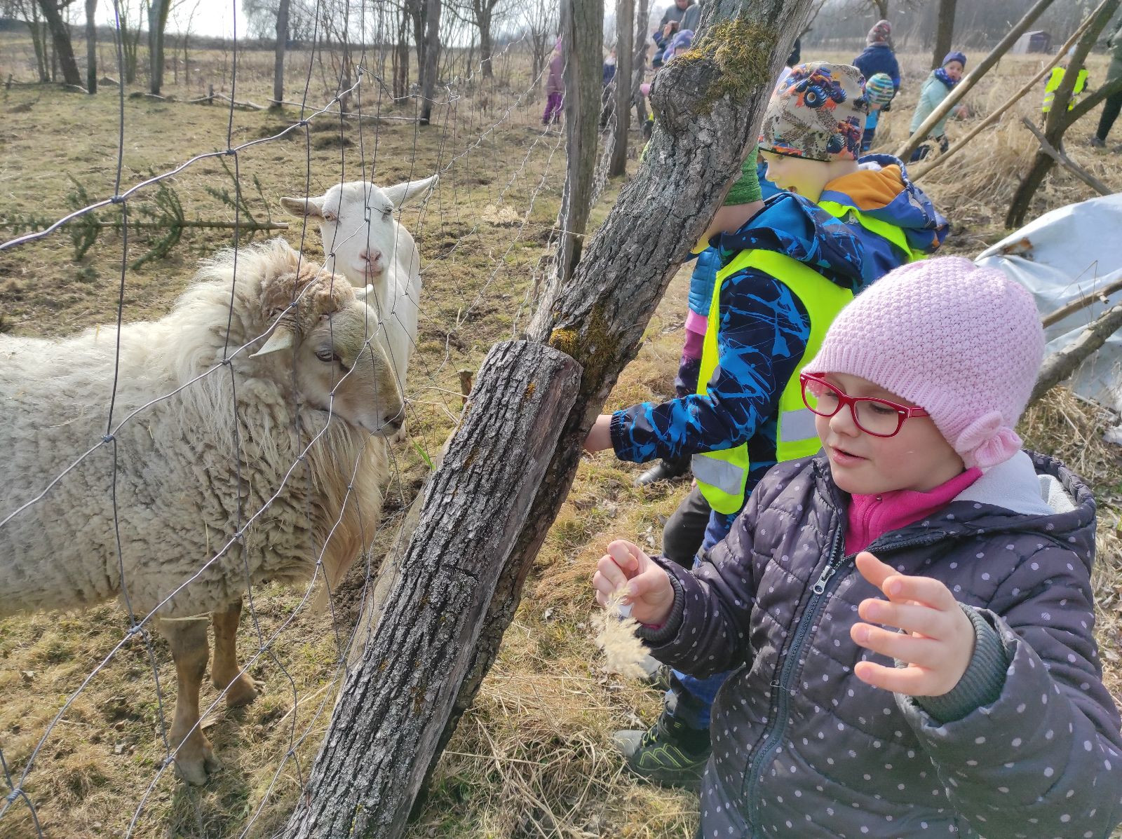 fotografie - 2026-03-16T133134.578