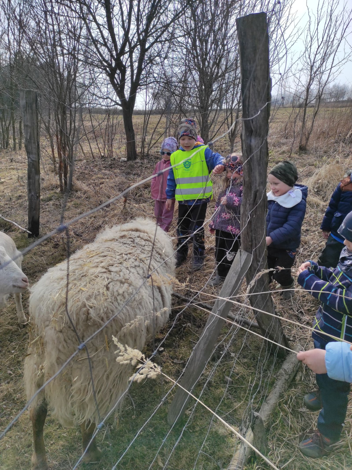 fotografie - 2026-03-16T133217.524