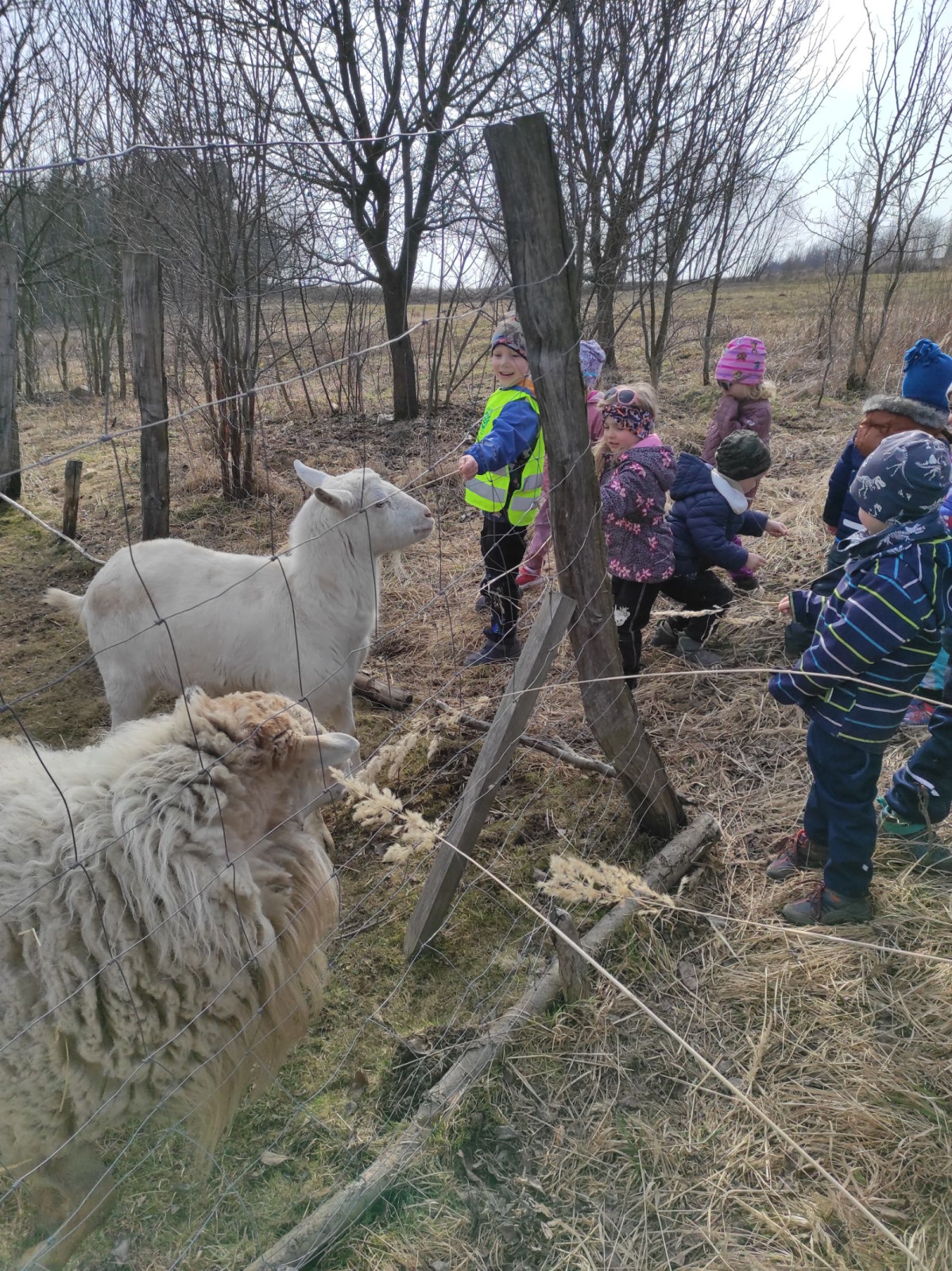 fotografie - 2026-03-16T133223.520