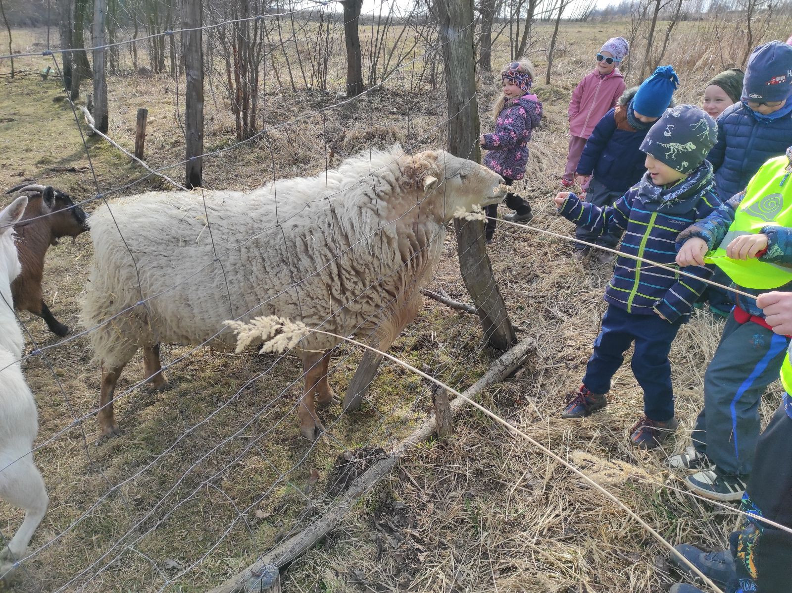 fotografie - 2026-03-16T133242.971