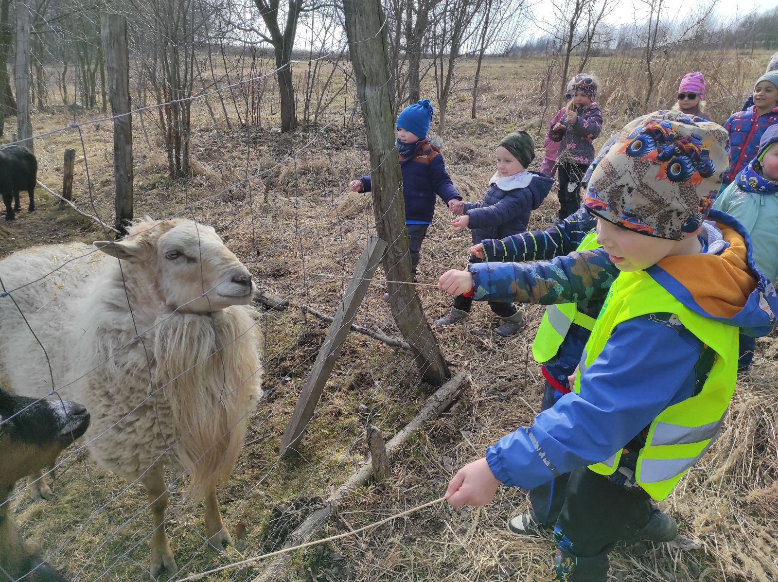 fotografie - 2026-03-16T133246.741