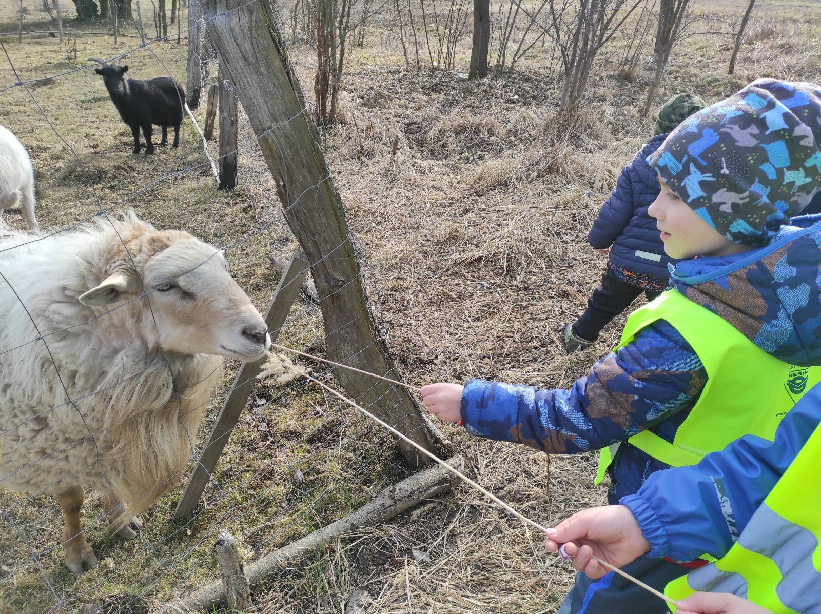 fotografie - 2026-03-16T133248.518