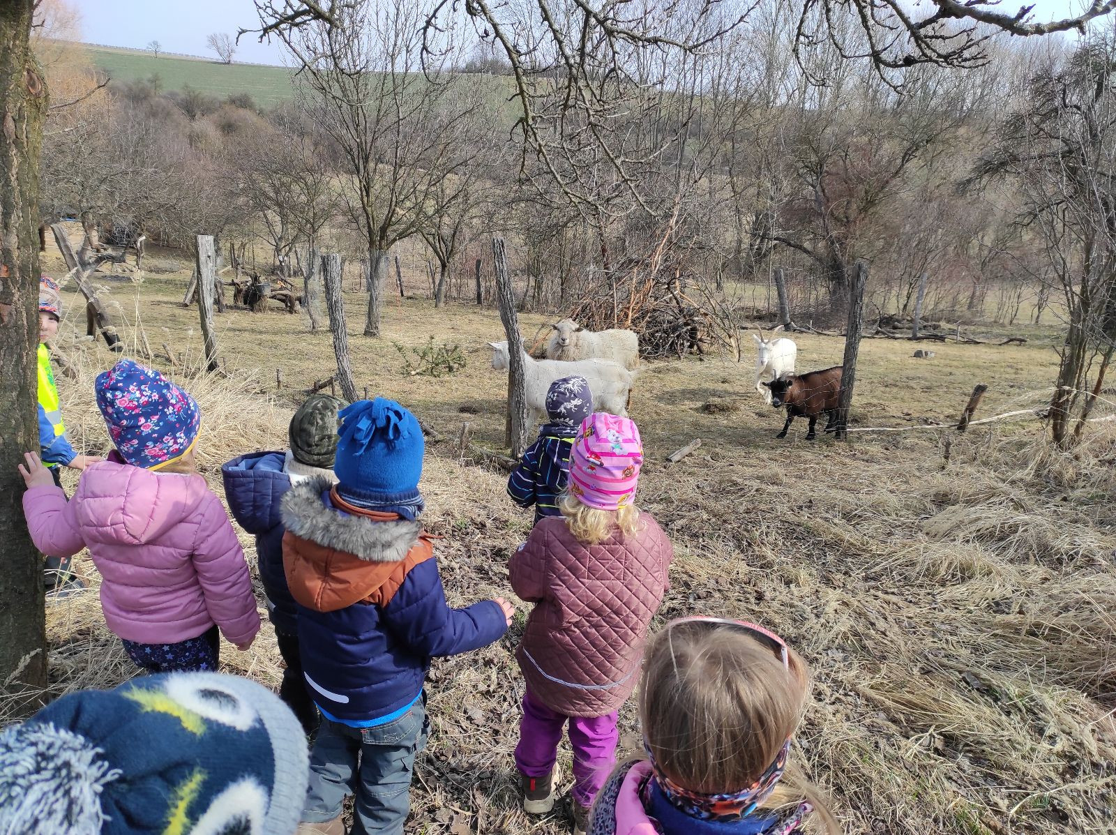 fotografie - 2026-03-16T133252.743