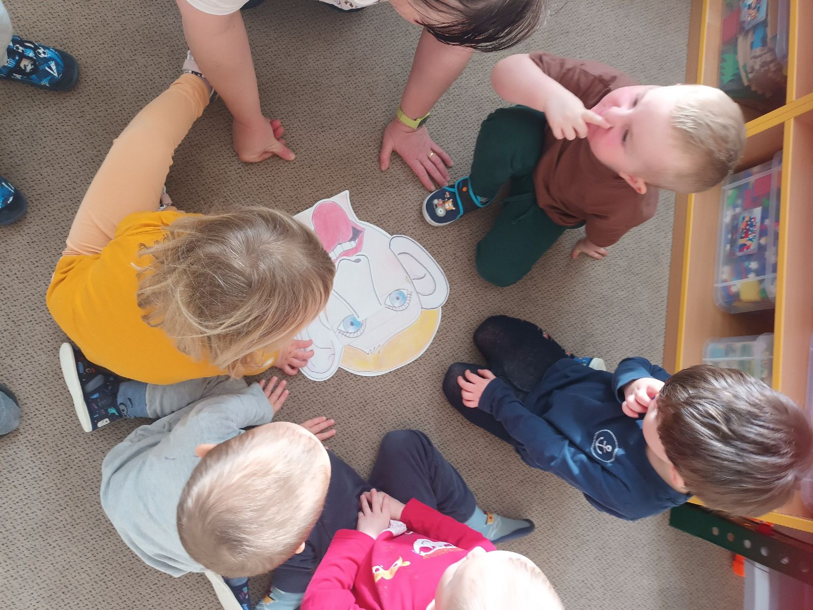 fotografie - 2026-03-16T134853.246