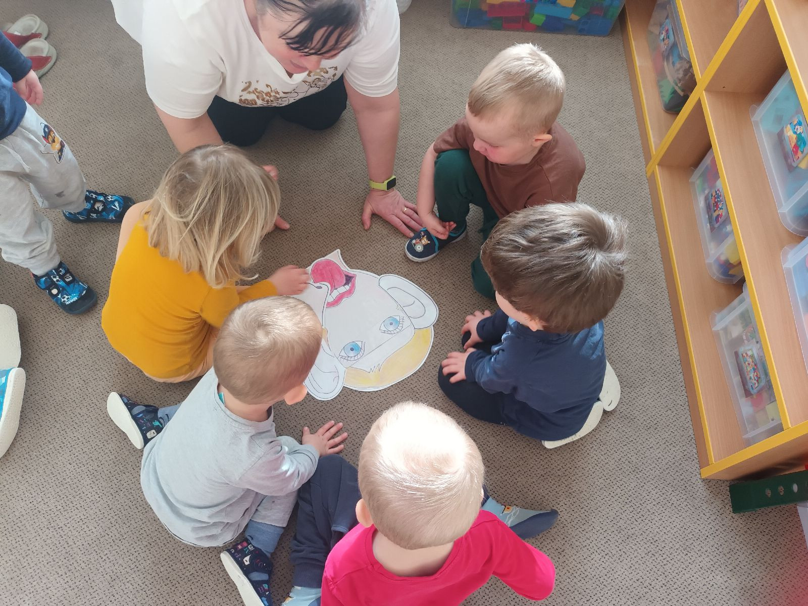 fotografie - 2026-03-16T134857.067