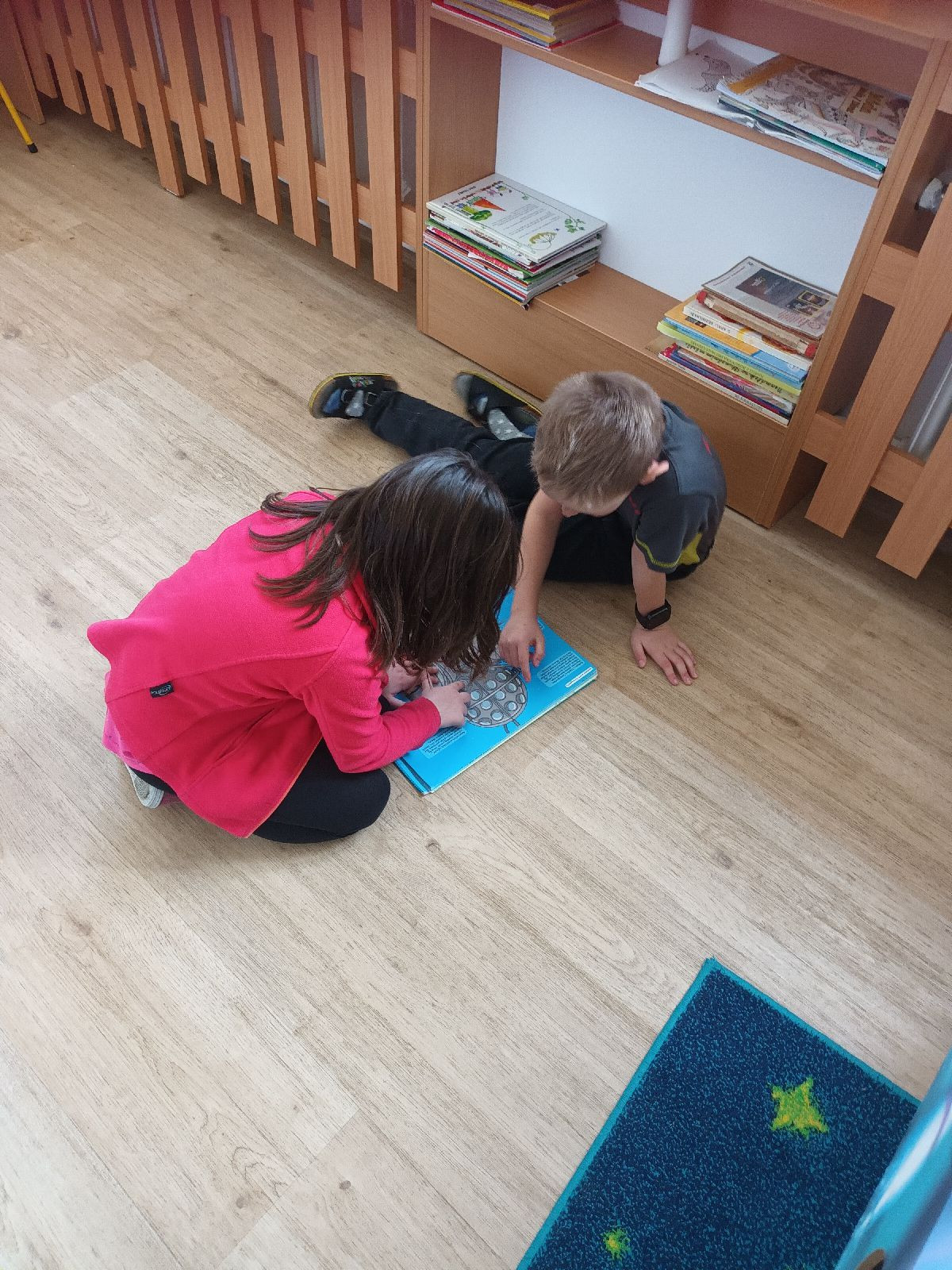 fotografie - 2026-03-16T134358.321