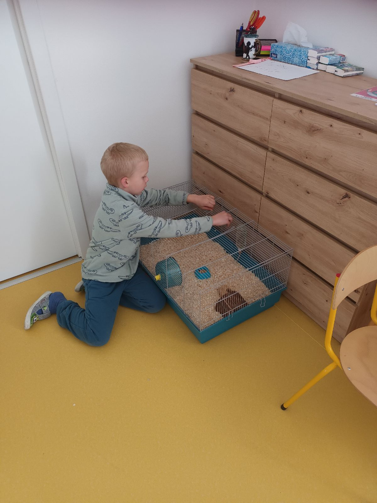 fotografie - 2026-03-16T134420.861