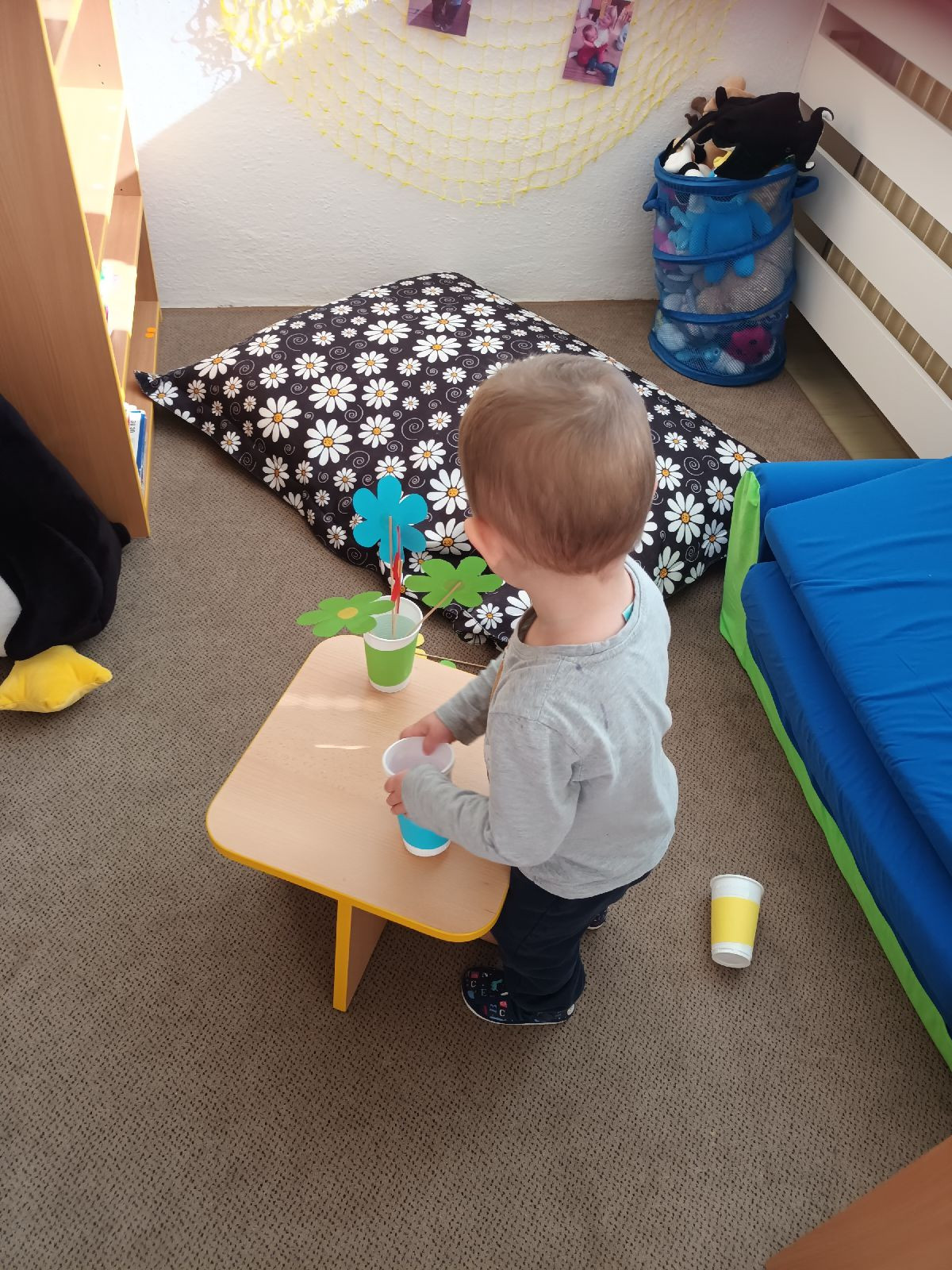 fotografie - 2026-03-23T071418.306